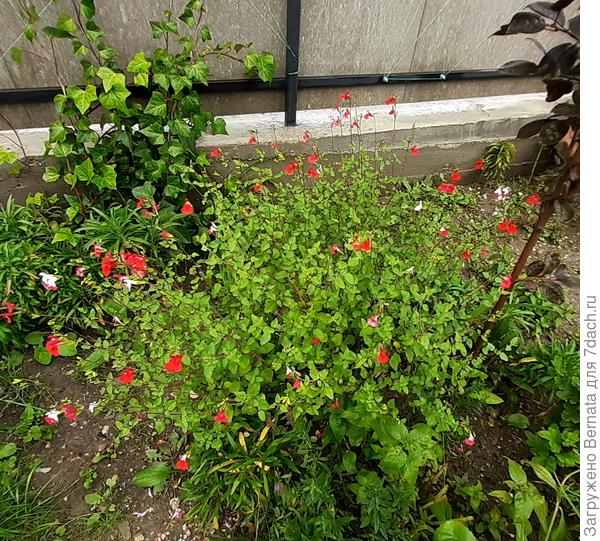 Конец сентября. Ещё жарко, но уже не лето