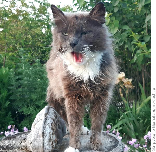 Заяц. Хотя после того, как я его откормила , это имя ему уже не подходит:))