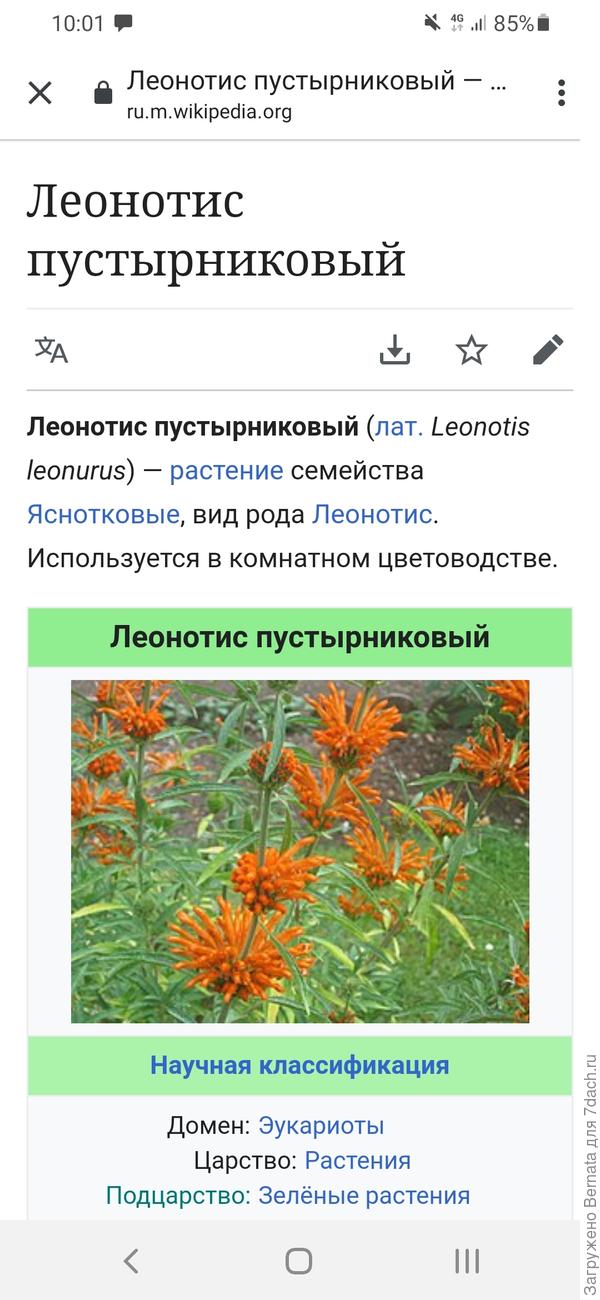 Я только такой нашла