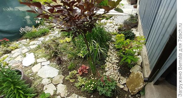 Вид сверху - водосточка справа внизу