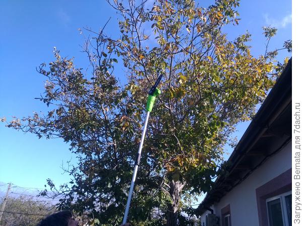 Высота более 4-х метров от земли