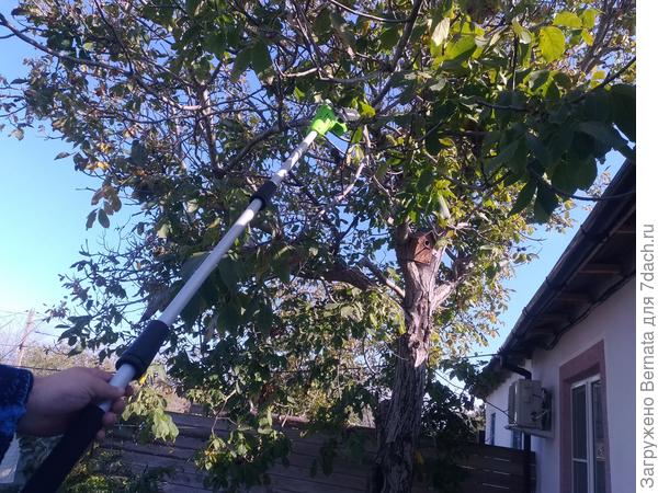 Пусть пилит, а я посмотрю:)))