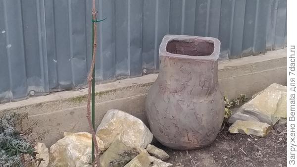 Что-нибудь посажу....