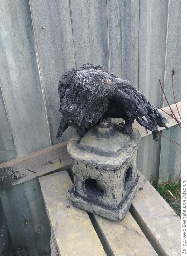 Так у меня поселился на участке ворон Харитон, которого муж неуважительно обзывает курицей:)