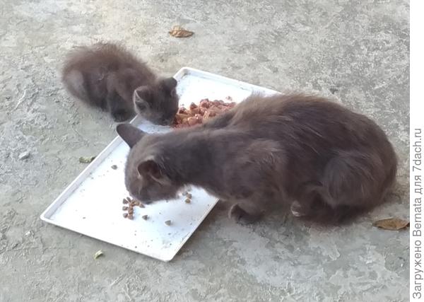 С Зайцем. Явно, что папа с сыном...