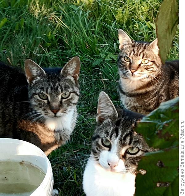 Семейный портрет. Слева Люся, справа её дочь и сын