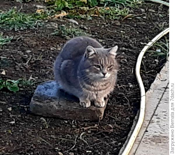 Сёма садился на камушек и терпеливо ждал, а Люська отслеживала в сторонке