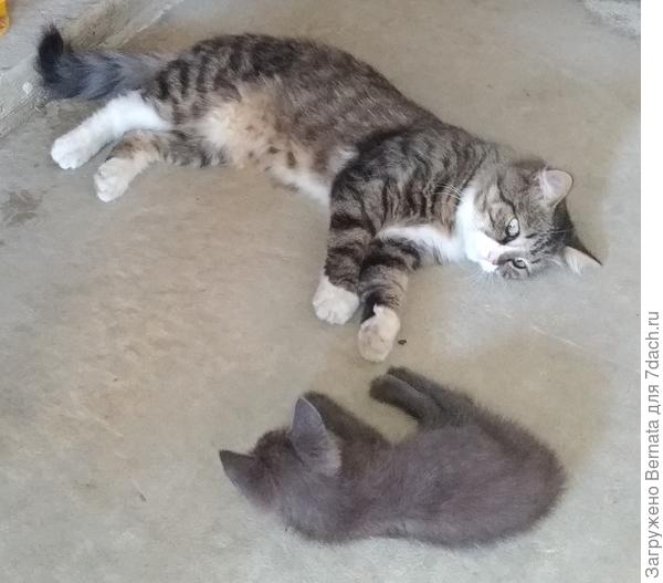 ...и отдыхаем...