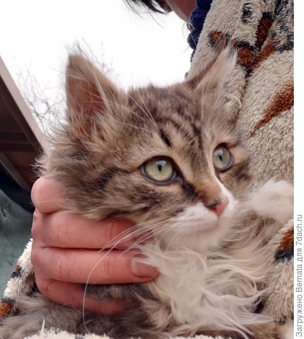 Первый раз дался в руки