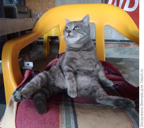 ПрЫнцессы даже во дворе прЫнцессы