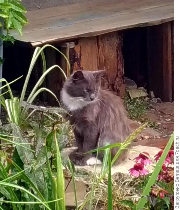 Почти красавец:)