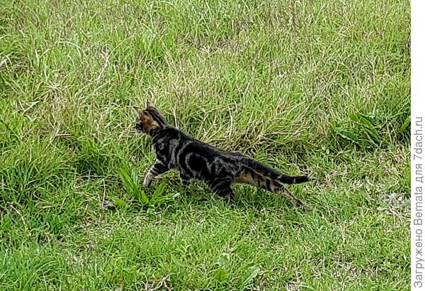 Какая стойка:)