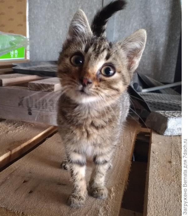 Детства чистые глазёнки...