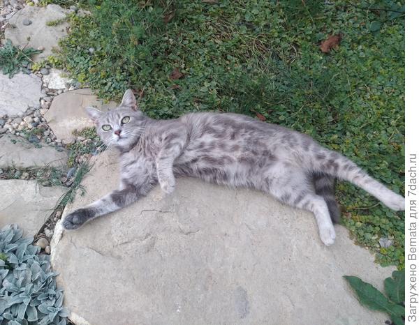 Мне и тут неплохо...