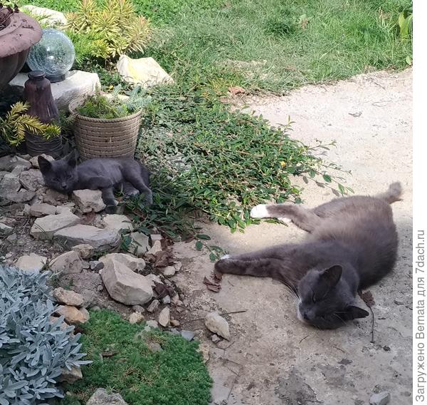 ...отдыхаем...