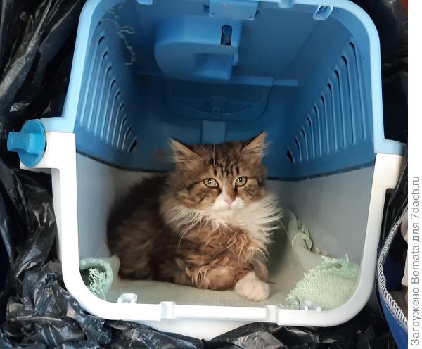 Первый Мишкин дом