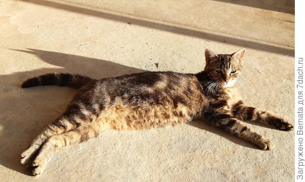 А хорошо жить - еще лучше!