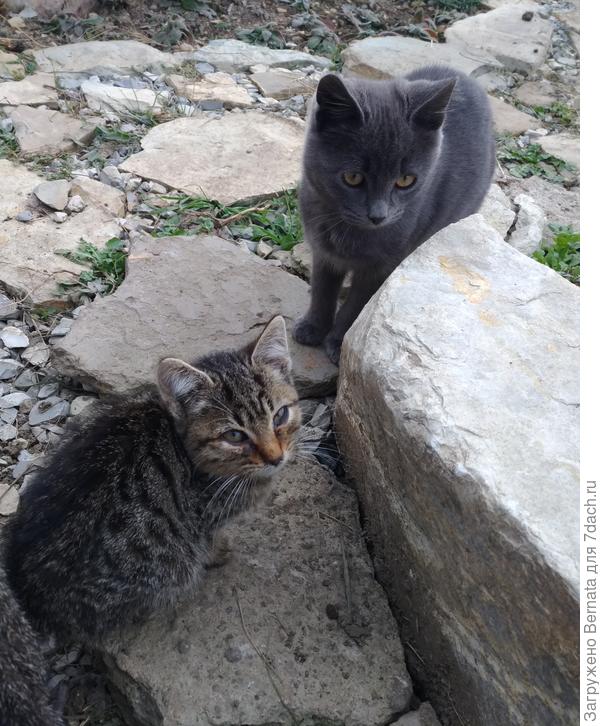 А давай дружить!!!