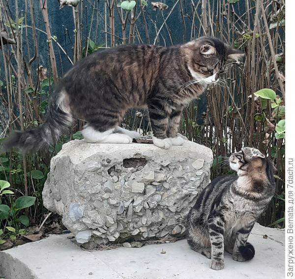 Но не всегда женщинам нравятся мужчины, которым нравятся они...