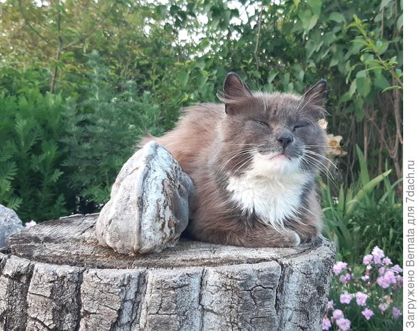 Эх, жить хорошо....