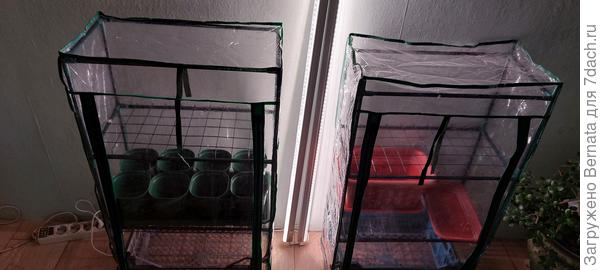 У меня теперь два парника в коридоре и один на окне