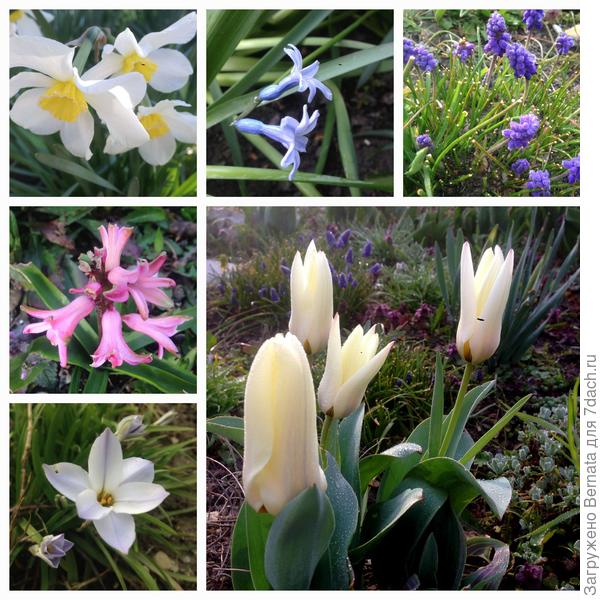 Соответственно, в 2020 году всё было стабильно и без неожиданностей