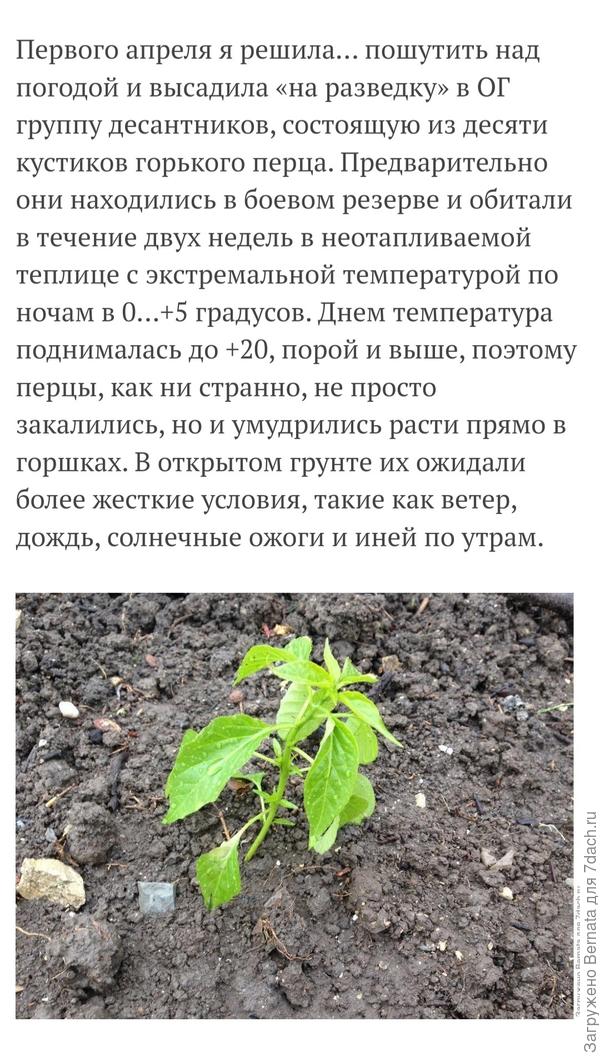 Какая же это ранняя весна, если в апреле иней по утрам?