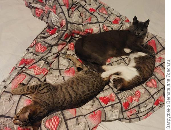 Опять женщины раньше времени "собираться" начинают...