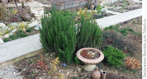 Не столько вверх, сколько вширь...