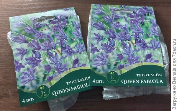 Не отстаю от коллектива:))