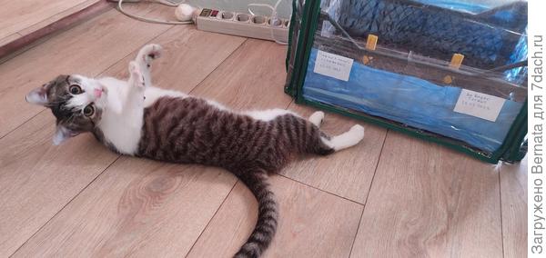 И два на полу