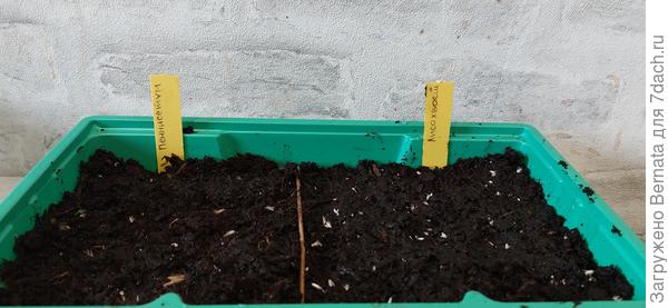 21.02- чуть присылала грунтом