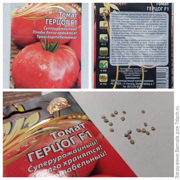 Томат 'Герцог'