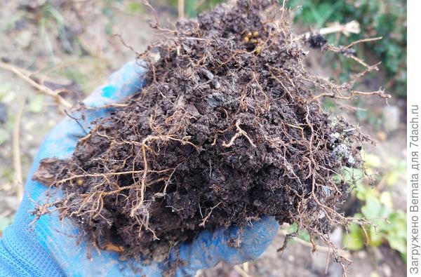 Вот. Хорошо видно эту &quot;мочалку&quot;