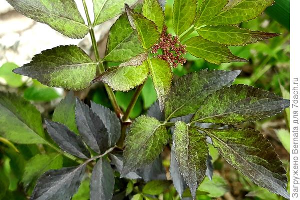 Начало мая 2022