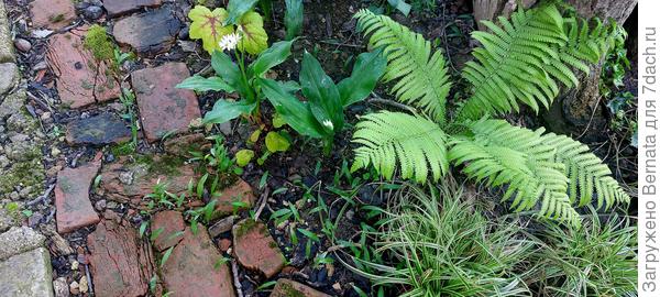 Я сначала даже не поняла, что это...