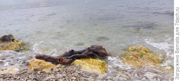 Иногда попадаются очень причудливые формы...