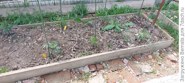 Они небольшие, конечно, но уже около двух недель тут...