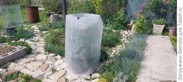 А вот кабачки пока под укрытием в контейнерах