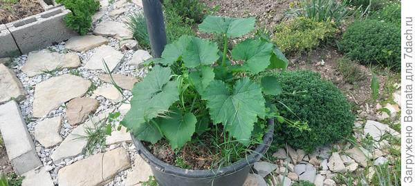 Пора открывать