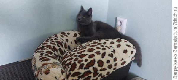 А места хватает и на троих, но позировать мне согласился только Яша:))