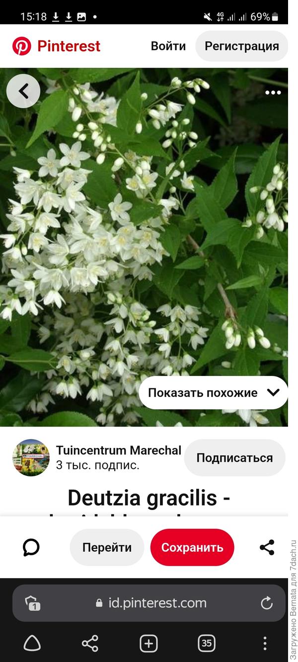 Из интернета