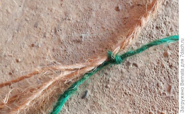 Концы косичек завязала зелёным шпагатом