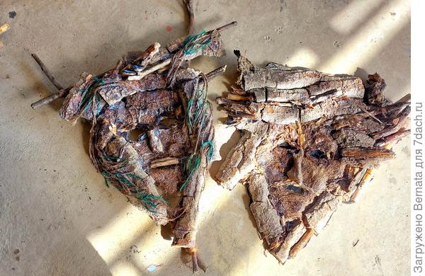 Чета чудищ лесных готова:) Африкой здесь и не пахнет, конечно:))