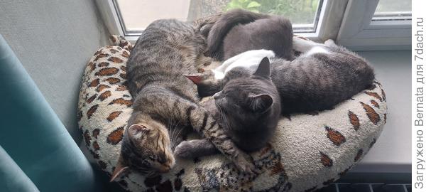 Места хватает всем :)