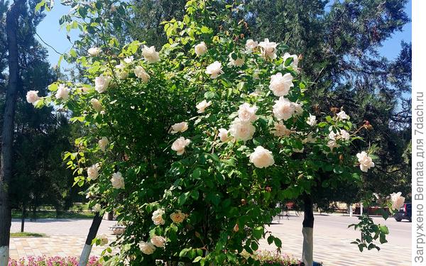 Поздравляю:)