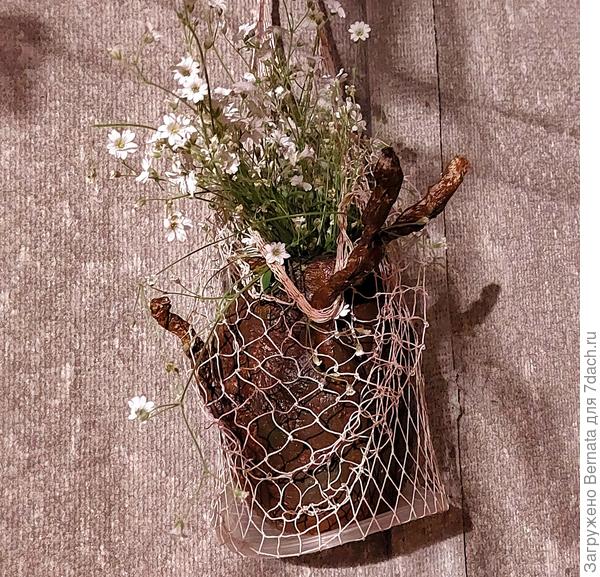 Хоть горшок, хоть вазу....