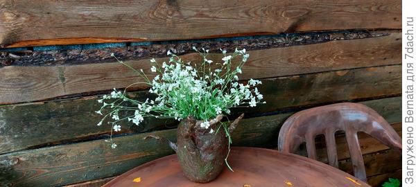 Но я её уже обрываю потихоньку