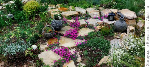 Гвоздика, конечно, чересчур яркая....