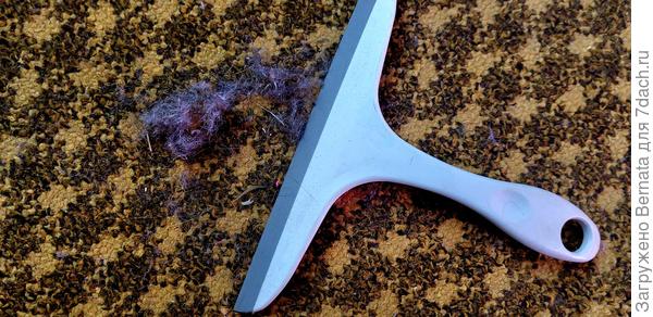 Это я ещё позавчера пылесосила, вы не подумайте..